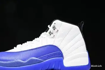 “Blueberry” CT8013-140 12 Jordan Air 0506